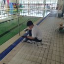 마홀수영장 이미지