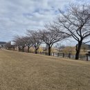 동천 수변공원 이미지