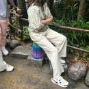 팅커벨과 피터맨 | [도쿄] - 디즈니씨 DPA 패스권 없이 알차게 노는 꿀팁 ( 놀이기구 추천/오픈런 없이 오후입장 )