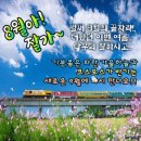 9월 3일 목요일 과천대공원갑니다 이미지