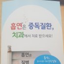 서현종치과 네이버블로그