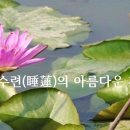 경전의 명언 - 부처님 말씀 - 2015 - 성실하다, 이미지