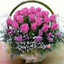 솔님 생일을 축하합니다 이미지