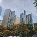 롯데박사공인중개사사무소 이미지