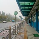 시외버스터미널(터미널사거리) 이미지