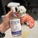 견생식탁 이미지