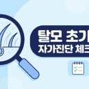 세브란스피부과의원 | 탈모 초기 증상 8가지·자가진단 체크리스트｜유형별 구별법 총정리