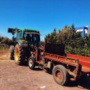 제주일상 이미지