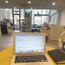 페츠베리머치 카페 이미지