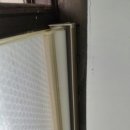 서진프라자 앞 이미지