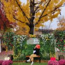 송학강변로_2 | 강원도 홍천 11월 당일치기 가을여행 가볼만한 축제 놀거리