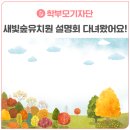새빛유치원 이미지