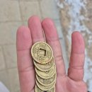 애니멀랜드 이미지