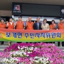 사랑세탁 이미지