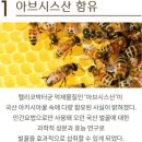 벌꿀의 놀라운 효능 이미지