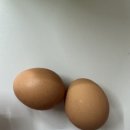 계란직판장 이미지