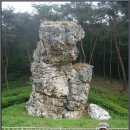 매미터 | 20090523 책여산(전북 순창. 안전)