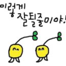 아리스헤어