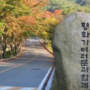 한티 이미지