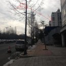 구월로 이미지