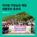 하늘아래첫농장 | [라우어 소식] 라라팜 주말농장체험 - 라우어 시니어타운 생활정보동호회