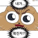 코지라이프 이미지