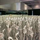 광주 가볼만한곳 국립아시아문화전당 ACC 무료 전시회 &#39;가이아의 도시&#39; - 주차장, 전시 정보, 관람 후기