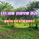 더드림팜 이미지