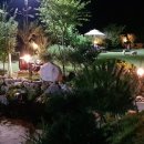 석달열흘가리 이미지