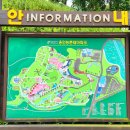 충식농장 이미지