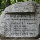 대한매일신보