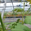 아름사과공원 이미지