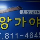 오블라디25 이미지