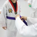 세종태권도 이미지