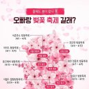 그비누앤공방