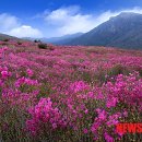 비슬산휴양림관리사무소 이미지