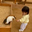 생각이 무럭무럭 | (용인)16개월 아기랑 가볼만한 곳! &lt;무럭무럭 농장&gt;
