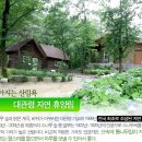 대관령자연휴양림 이미지