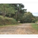 대은농장 이미지