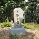 고성공룡나라(대전) 이미지