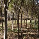 우리집농장 이미지