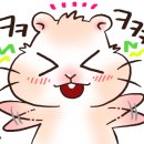 아가쇼핑 이미지