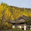 낭만찻집