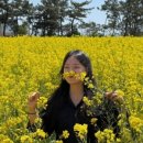 포항 포인트 오션 풀빌라 펜션 이미지