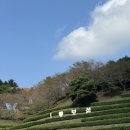 모다다원 이미지