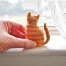 Tiny Cat 이미지