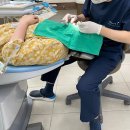 이하루치과의원 | 치위생사가 선택한 신촌역 치과 후기