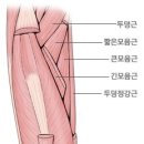 플랫폼필라테스 이미지