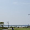 영종 | ⛳ 6월 베르힐 CC 영종 후기｜잔디 상태 미쳤네요! 오션·레이크 코스 라운드