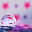전박사 Daum카페